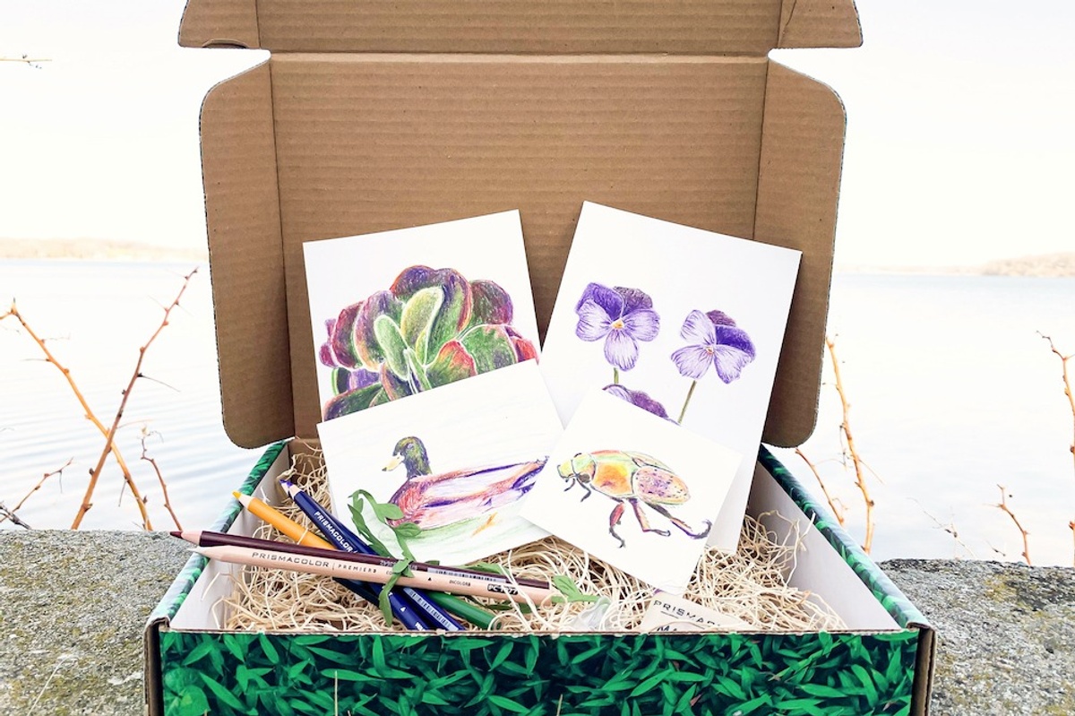 Art School Box Art School Box Subscription Box Cratejoy